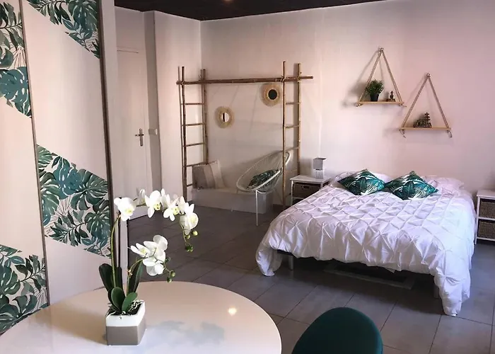 Studio Cocooning A 50 M Du Port, Classe 1 Etoile